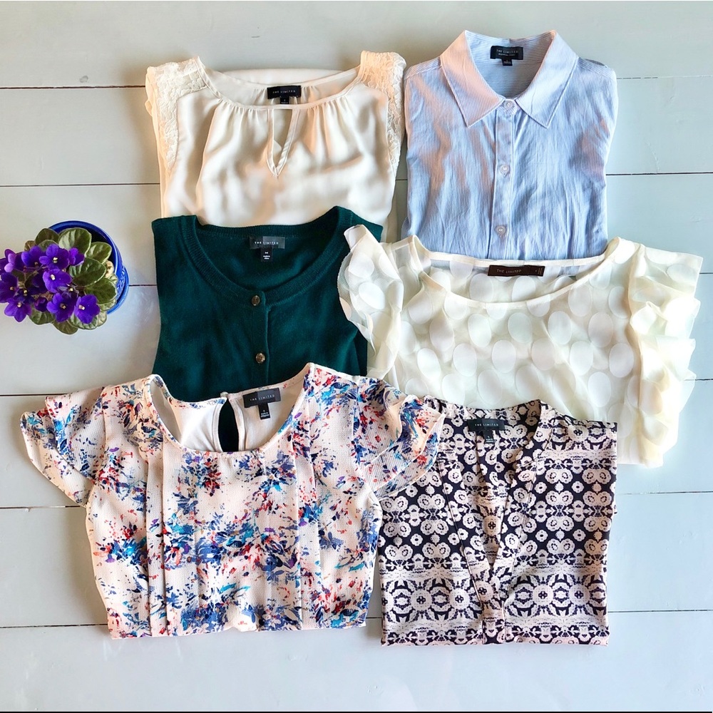 The Limited Tops- size S & M